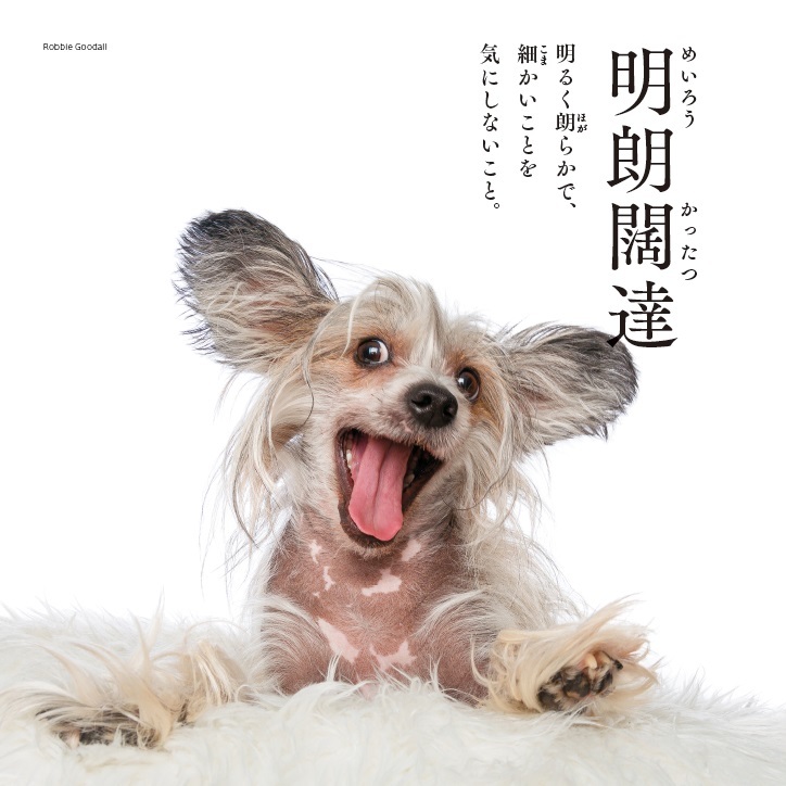 ちょっとひと息 わんにゃん四字熟語「明朗闊達」「純情可憐